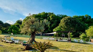 Antico palmento dell'Etna