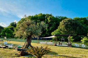 Antico palmento dell'Etna