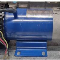 Motore tapis roulant