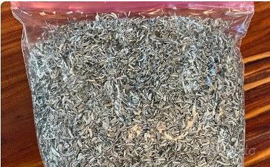 Trucioli di Alluminio – Confezione da 500 g