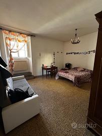 Si libera stanza singola per ragazze universitarie
