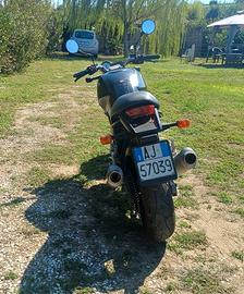 ducati 
