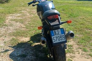 ducati 