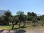 Immagine 9