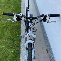 MTB Giant biammortizzata