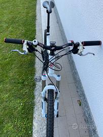 MTB Giant biammortizzata