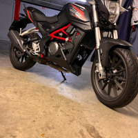 Benelli bn 251 abs