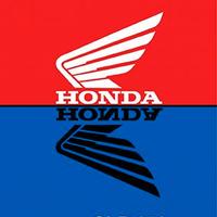 COMPENDIO DELLA HONDA SLR 650