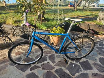 Bicicletta Specialized hard rock. Telaio 19