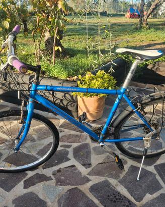 Bicicletta Specialized hard rock. Telaio 19