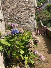 Casa Indipendente con giardino e terrazzo