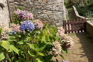 Casa Indipendente con giardino e terrazzo