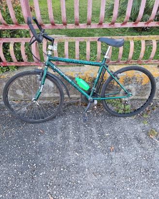 Mountain bike