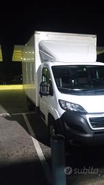 Peugeot cassonato boxato