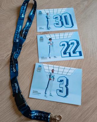 Set 3 driver cards Vcarb e laccio collana
