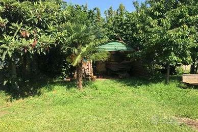 Terreno Agricolo a Giussano