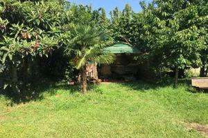 Terreno Agricolo a Giussano