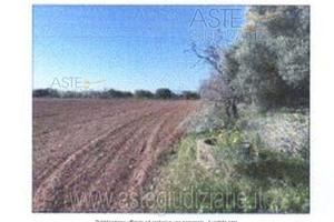 Terreno Agricolo Nuraminis [A4247088]