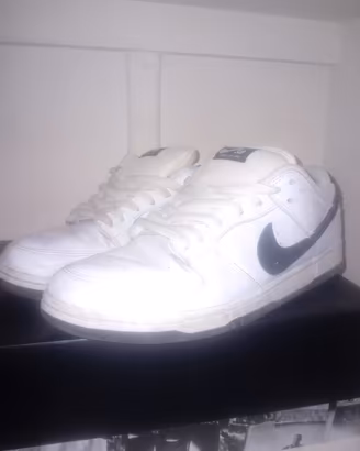 nike dunk low sb