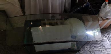 ford mustang lunotto