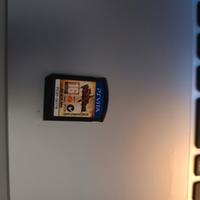 Gioco PS vita