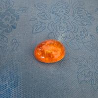 Ambra fossile del baltico con inclusione