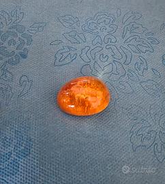 Ambra fossile del baltico con inclusione