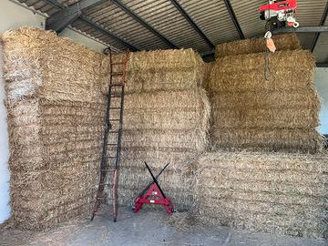 Avena e loietto in balloni prismatici