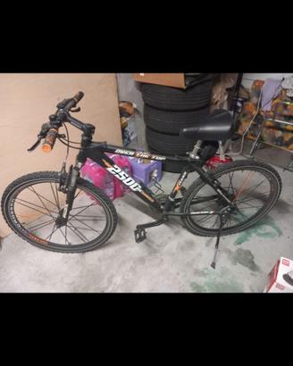 Bicicletta