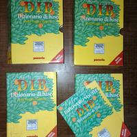 Dizionario DIB De Mauro – Italiano (2 volumi)