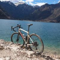 Gravel Giant Revolt Carbonio taglia M/L