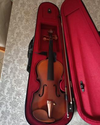Violino