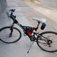 due bici: una tecnobiche e una bici da donna tecno