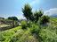 Immagine 26