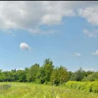 Terreno agricolo parzialmente recintato