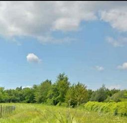 Terreno agricolo parzialmente recintato