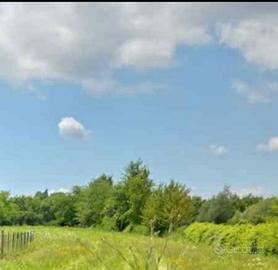 Terreno agricolo parzialmente recintato