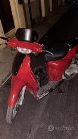 scarabeo 