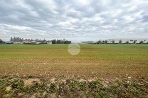 TERRENO A CASTEL GOFFREDO