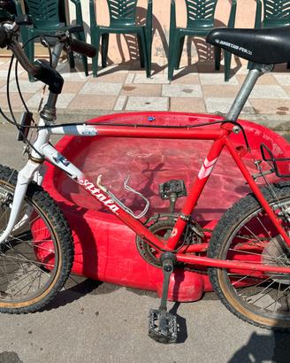 Bicicletta rossa