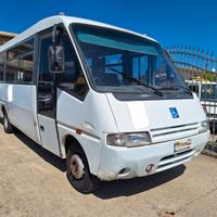 Iveco Cacciamali 2.8 Td Bus 22 Posti + Disabile