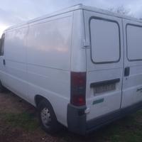 fiat ducato coimbentato