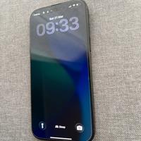 IPHONE 16 PRO MAX 256 GB