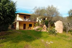 Casa vacanze tra Porto rotondo Olbia