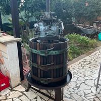 Torchio e diraspatrice pigiatrice