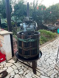 Torchio e diraspatrice pigiatrice