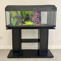 Acquario completo con mobiletto
