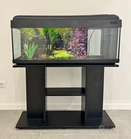 Acquario completo con mobiletto