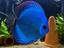 Immagine 5