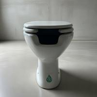 Tazza wc per persone disabili